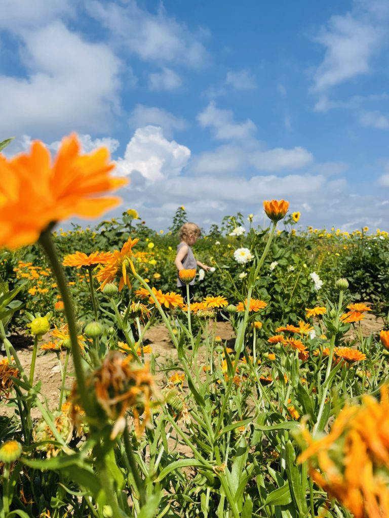 Foto des Tages: „Vorfreude auf den Frühling“ Von Sarah Canenbley 1 FD7A6999 AF8B 49FC 8A46 0BE6CB6BAAD2 Janes Magazin