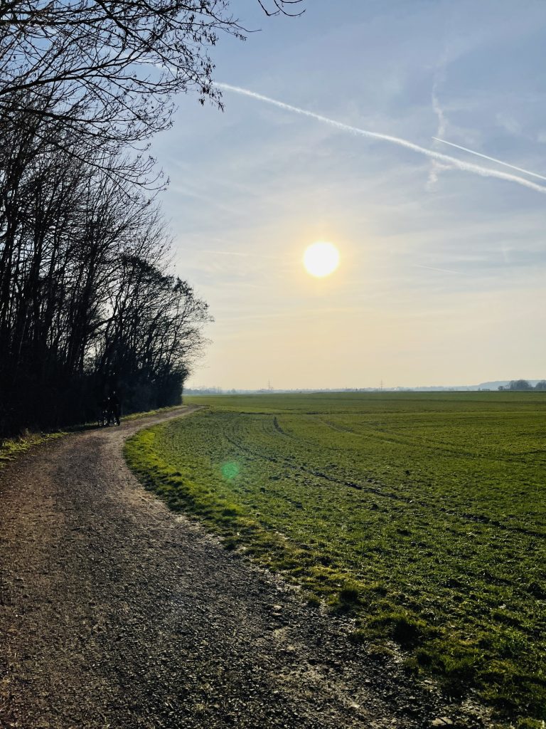 4D0A9F27 6040 4A1B B436 FED49EDBE1B9 Janes Magazin