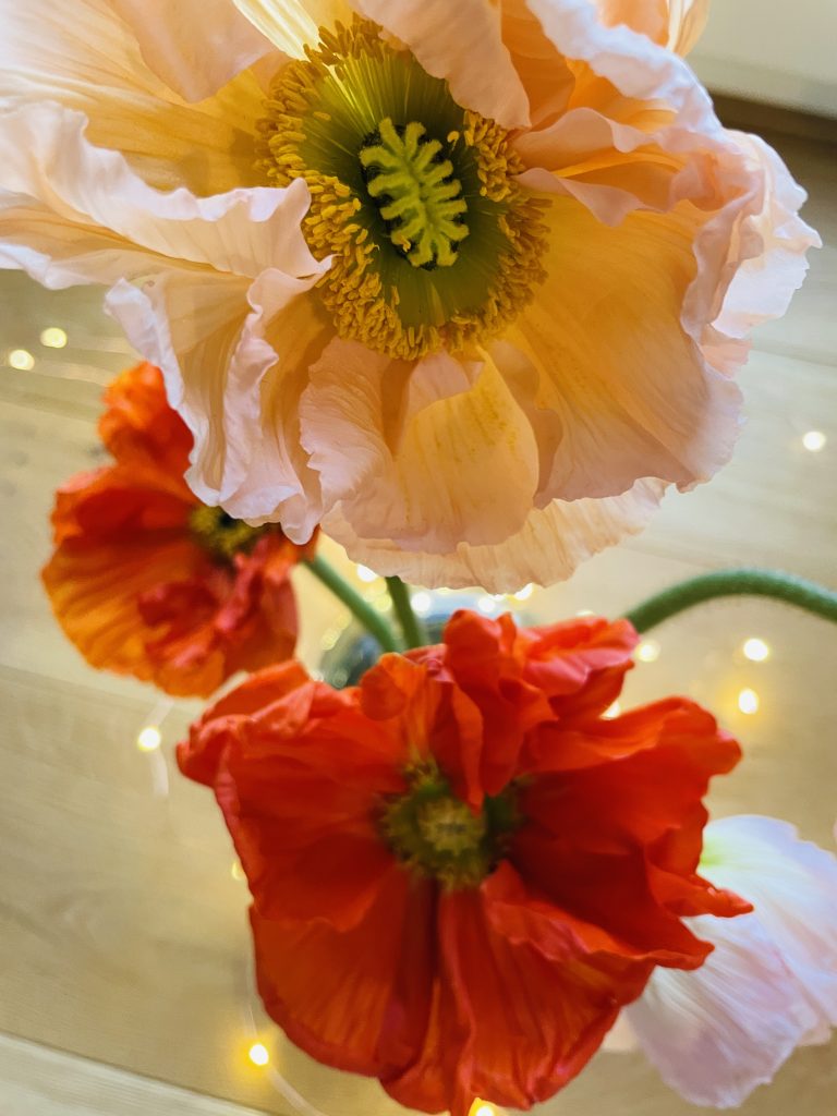 Foto des Tages: Orientalischer Mohn 1 B3796EEC F4E4 4FE2 A241 535DDFFB6B51 Janes Magazin