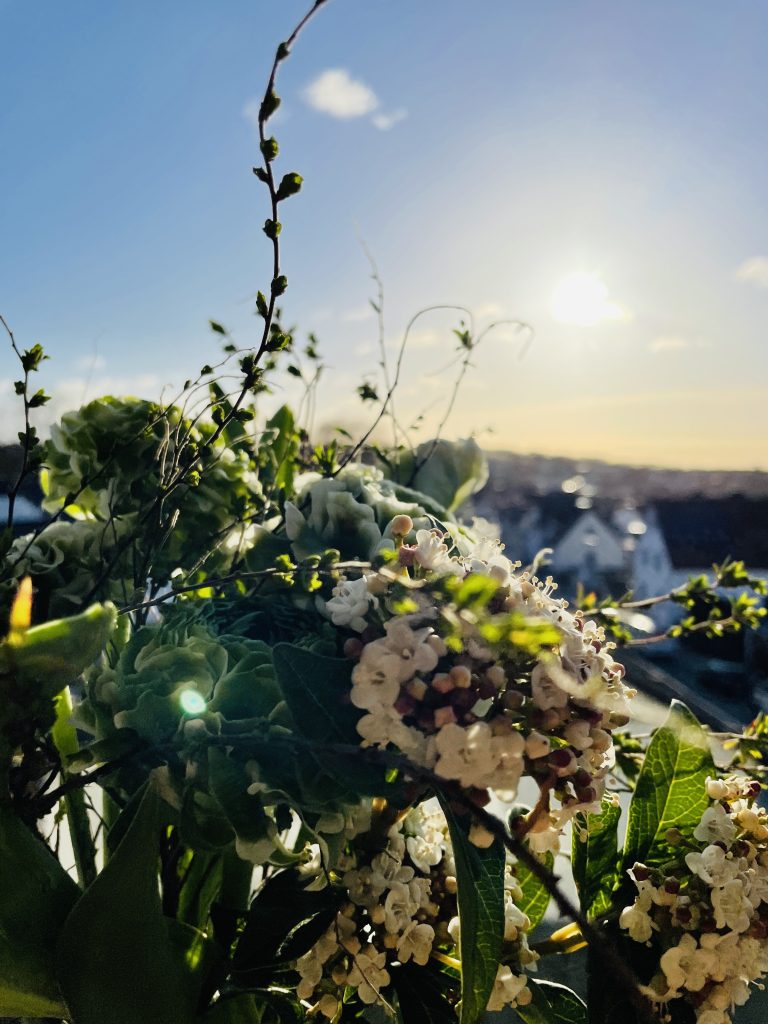 Foto des Tages: Sonnenmoment nach dem Sturm 1 FA56E4F5 C24C 4493 9E1A AB58B56B5225 Janes Magazin