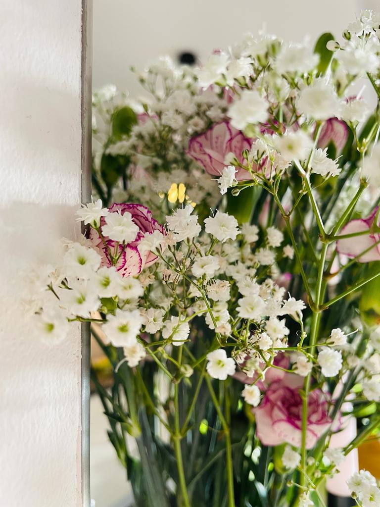 Foto des Tages: Vorfreude auf den Frühling 1 IMG 20220130 WA0005 Janes Magazin